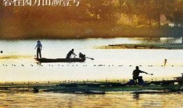 万山湖壹号爆料视频最新,揭秘神秘豪宅背后的故事