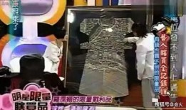 王四大姐爆料视频大全下载,独家下载攻略