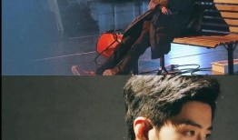 肖战圈内人爆料完整,揭秘明星幕后真相与心酸历程