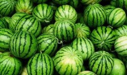 网红习惯吃瓜小灯笼,揭秘娱乐圈幕后故事