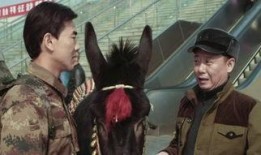 人在驴途在线观看,一场别开生面的在线观影之旅