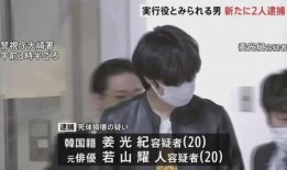 泰国华裔爆料事件视频播放,真相与偏见交织