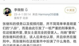 娱乐吃瓜张继科视频全集,揭秘娱乐圈幕后故事