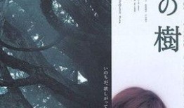 透光的树 在线观看,探寻自然之美