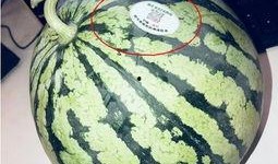 巧乐兹网红吃瓜怎么了,揭秘背后真相与争议