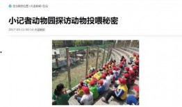 大连新闻爆料人是谁啊最新消息,最新消息追踪”