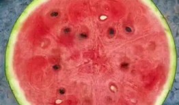 网红吃瓜神器新款