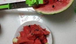 网红吃瓜神器新款