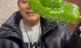 网红条子吃瓜视频,揭秘娱乐圈幕后真相