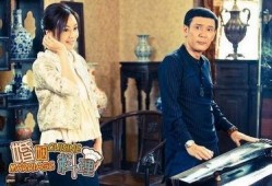 在线观看婚姻料理,一场味蕾与情感的烹饪之旅