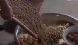 娱乐吃瓜酱英国水葬