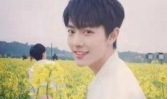 圈内爆料杨紫肖战的视频