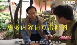 重播在线观看,在线重播带你回味时光之旅