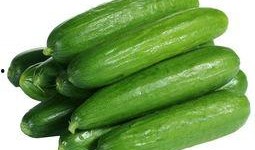 网红习惯吃瓜小灯笼,揭秘娱乐圈幕后故事