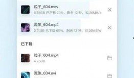 云吞爆料丁海棠视频网盘,云吞爆料视频网盘内容深度解析