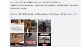 小象莫莉首次爆料视频,独家爆料背后的故事