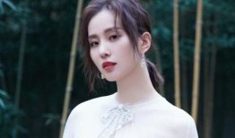 刘诗诗娱乐爆料视频,揭秘明星幕后生活点滴