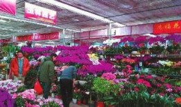 新春园林爆料最新消息,揭秘园林行业新春动向与热点！