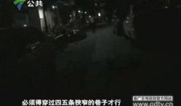 深圳王先生最新爆料人,人生百态，一窥社会万象