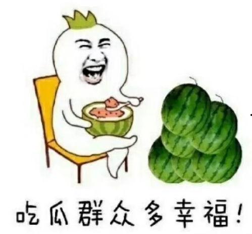 娱乐吃瓜喵喵